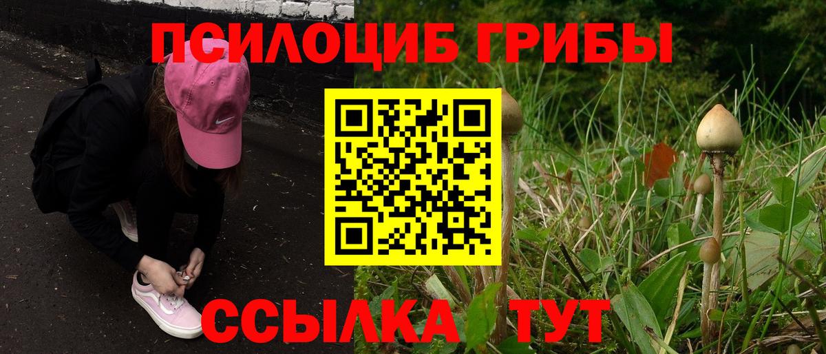 Галлюциногенные грибы GOLDEN TEACHER  Вход с VPN  закладка  Прокопьевск 